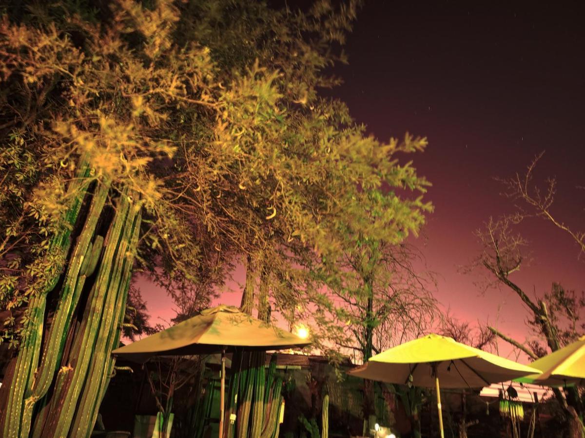 סן פדרו דה אטקאמה Hostal Katarpe מראה חיצוני תמונה