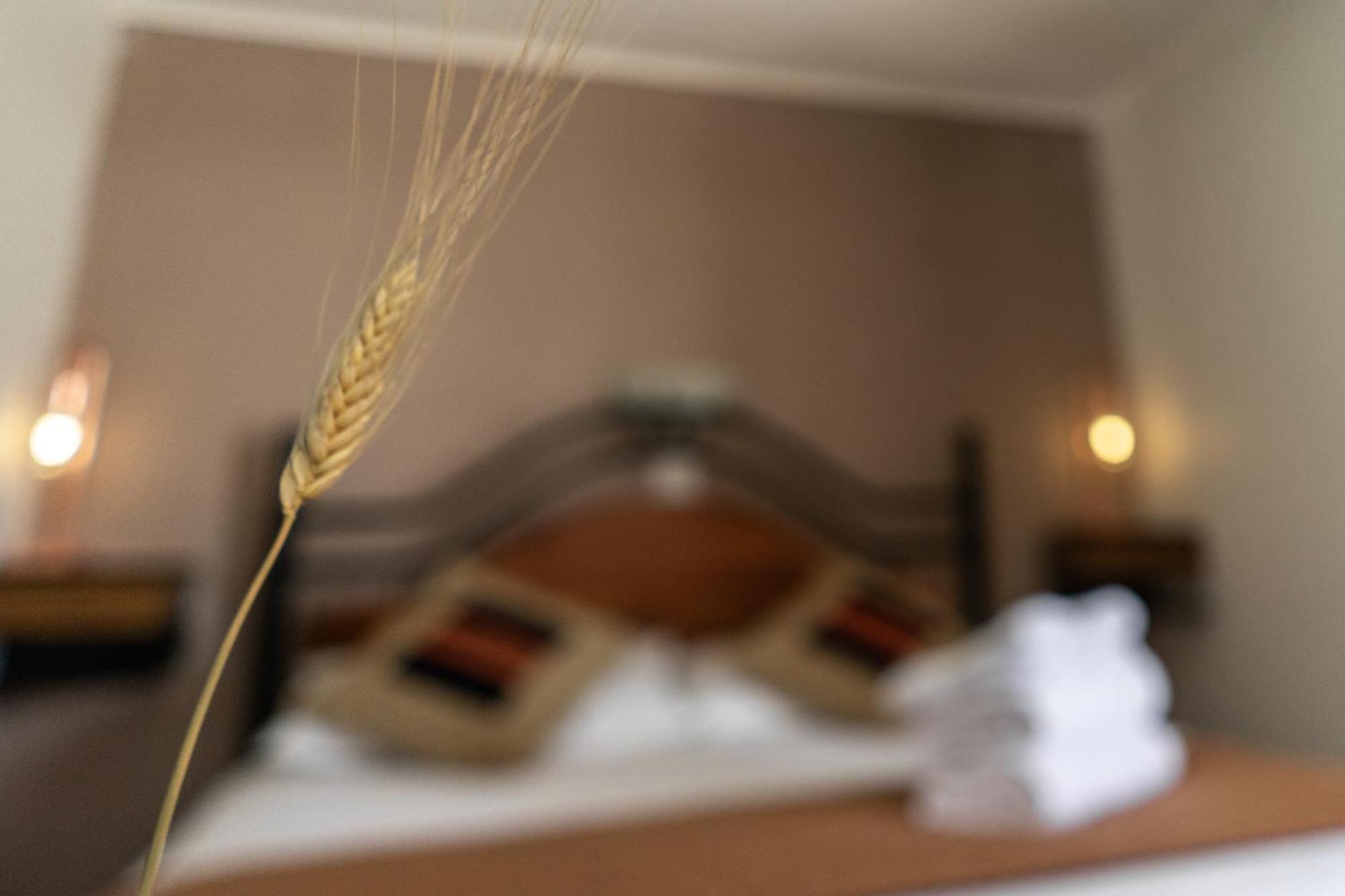סן פדרו דה אטקאמה Hostal Katarpe מראה חיצוני תמונה